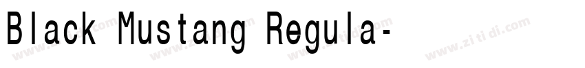Black Mustang Regula字体转换